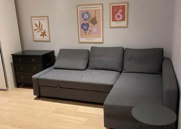 As Szpital Kopernika Szpital Matki Polki Ptak Mandoria Orientarium Atlas Arena Fala Plac Zabaw- Ciasna 14 Bezplatny Parking Апартаменты