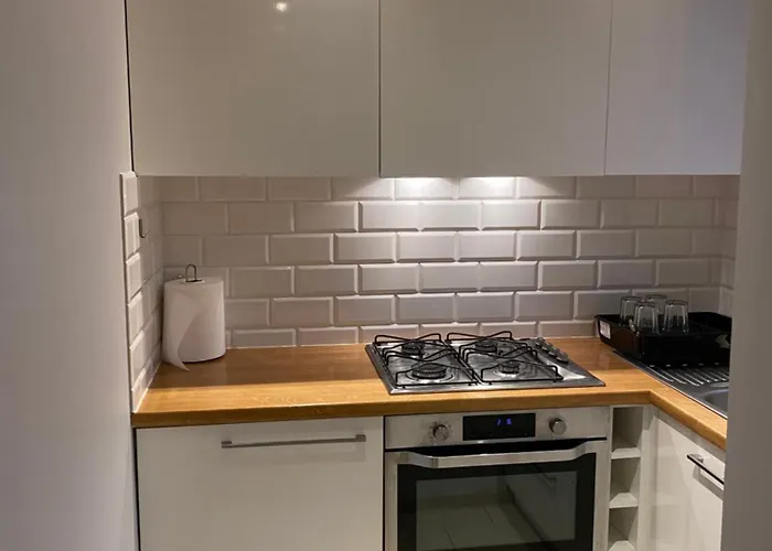 As Szpital Kopernika Szpital Matki Polki Ptak Mandoria Orientarium Atlas Arena Fala Plac Zabaw- Ciasna 14 Bezplatny Parking Апартаменты